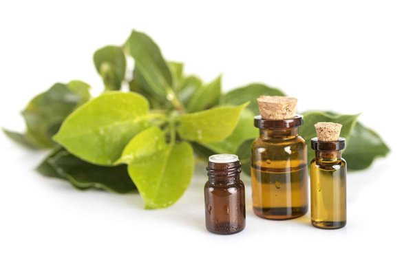 Gemmothérapie : avantages et inconvénients