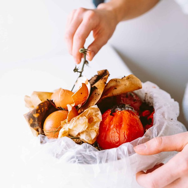 Comment réduire les déchets de cuisine avec le Lombricompostage : Conseils pratiques