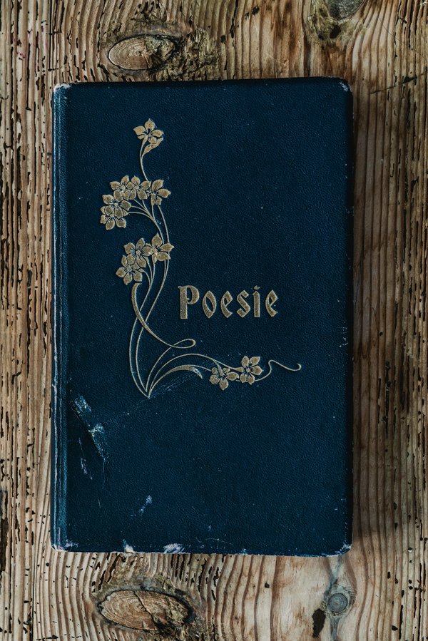 Comment la poésie peut-elle favoriser la guérison émotionnelle dans des ateliers d'écriture thérapeutique ?